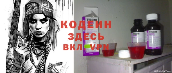 мдпв Киреевск